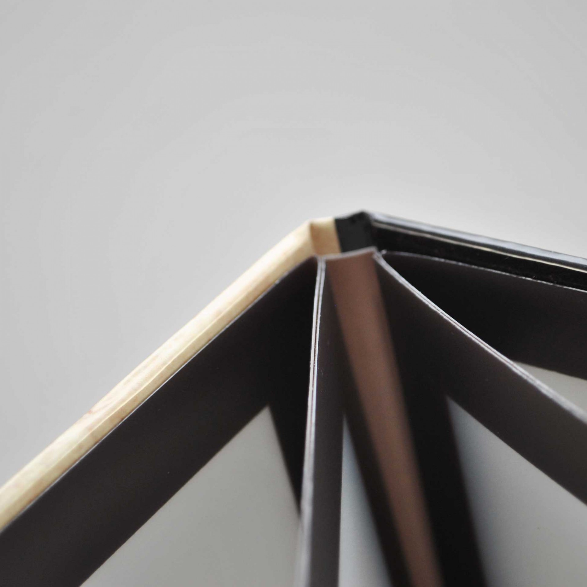 MenuBook Carton